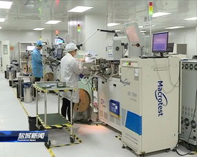 緊扣一體化，推動高質量 晶科微電子的全方位深層次接軌上海之路